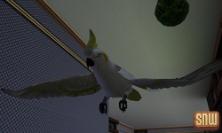 The Sims 3 Pets: Birds