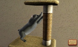 The Sims 3 Pets: Oopsie-Daisy the cat loves the scratch post