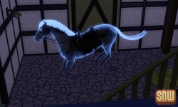 The Sims 3 Pets: Estela the ghost horse