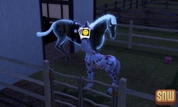 The Sims 3 Pets: Estela the ghost horse and GooGoo