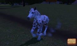 The Sims 3 Pets: GooGoo the horse