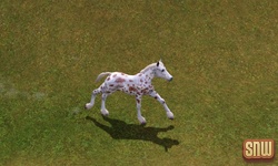 The Sims 3 Pets: GooGoo the horse