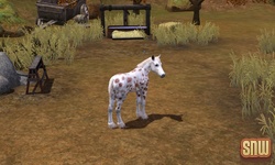 The Sims 3 Pets: GooGoo the horse